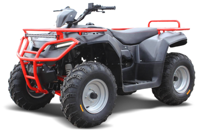 Квадроцикл IRBIS ATV 250 Квадроцикл IRBIS ATV 250