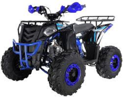 Квадроцикл THUNDER EVO 125 Квадроцикл THUNDER EVO 125