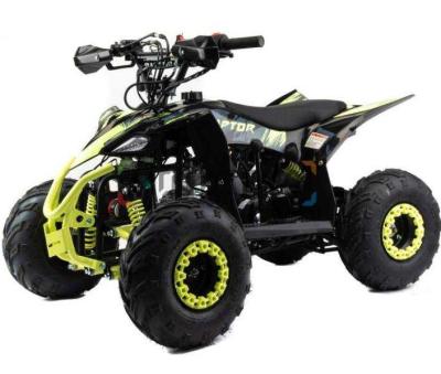 Квадроцикл Motoland VOX110 Raptor