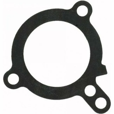 Прокладка термостата