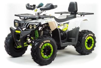 Квадроцикл Motoland 200 WILD TRACK LUX