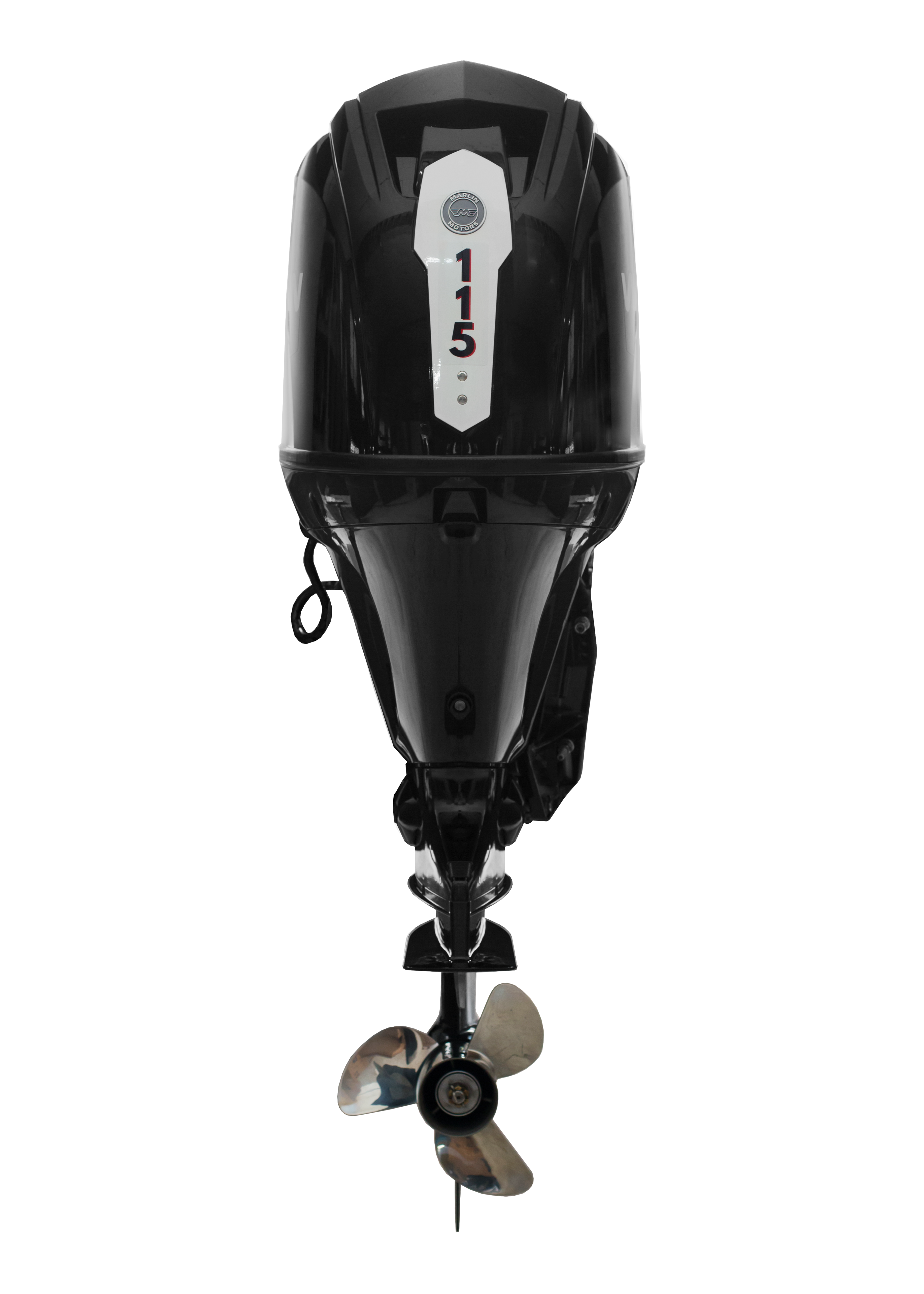 Мотор MARLIN MFI 115 AERTL