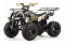 Квадроцикл Motoland 125 Fox