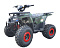 квадрацикл Thunder WELS E2